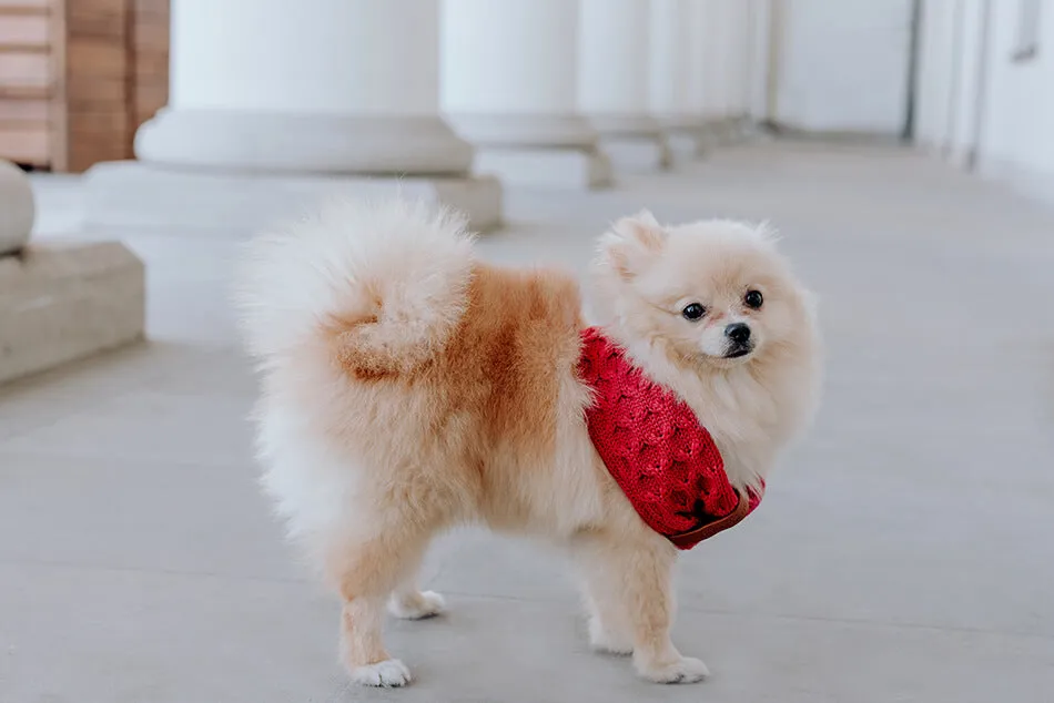 Bowl and Bone Luxury Chimney Dog Scarf Ecru